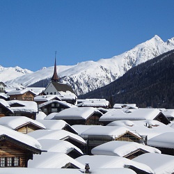 Münster im Winter