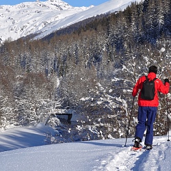 Winterwandern